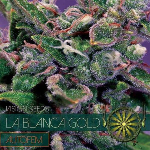 Hanfsamen La Blanca Gold Autoflower feminisiert 5 Samen